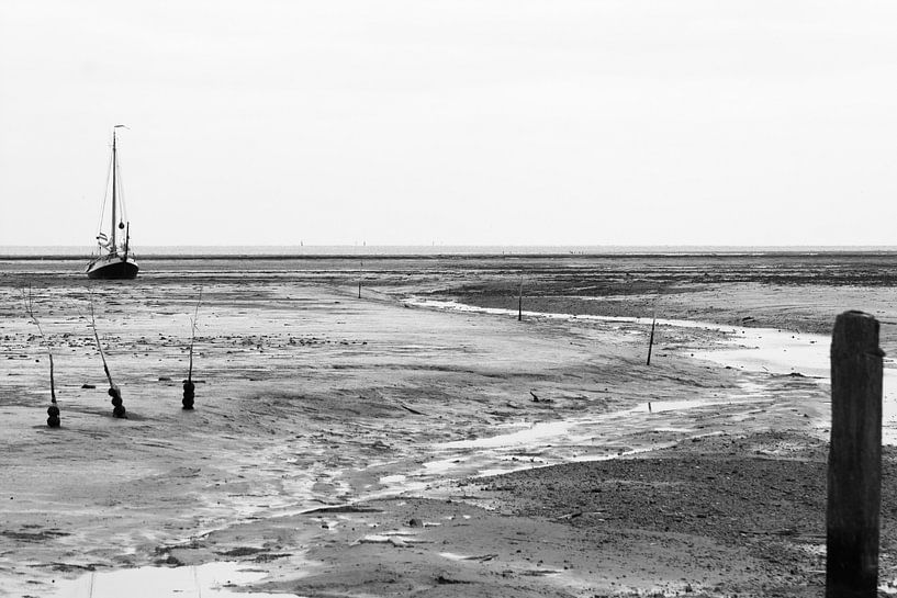 Drying on the mudflats by Marian Sintemaartensdijk