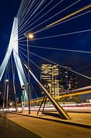 Erasmus Bridge Rotterdam