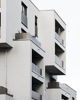 Modern Building Structures Frankfurt