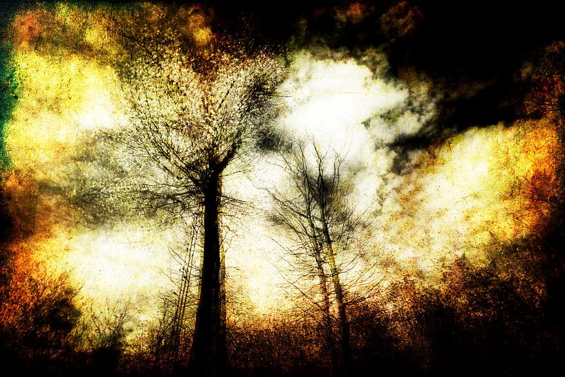 bedrohlicher Wald von Peter Baak