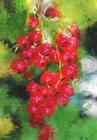Johannisbeeren rot