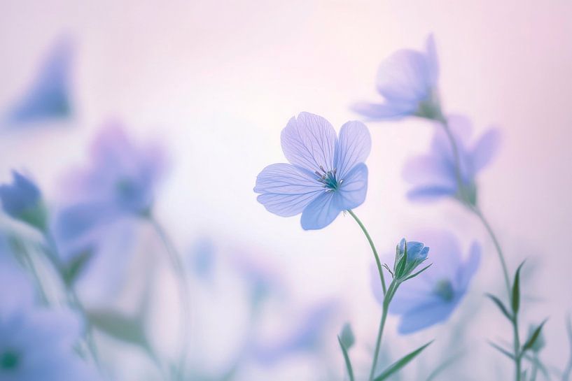 Zarte Blumenblüten von Poster Art Shop