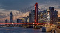 Willemsbrug Skyline Rotterdam
