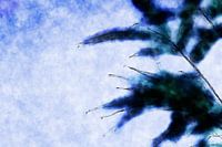 Watercolor Bamboo Leaves