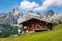 Berglandschaft "Urige Hütte auf der Alm".