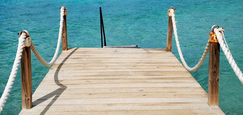 Der See von Carolina Vergoossen