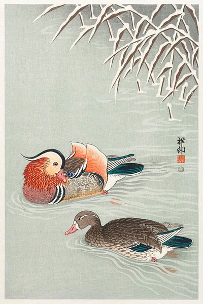 Mandarin-Enten (1925 - 1936) von Ohara Koson von Studio POPPY