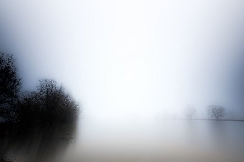 Meinerswijk Uiterwaardenpark, Arnhem par Eddy Westdijk