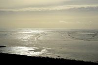 Winter mit Eisscholle auf dem IJsselmeer