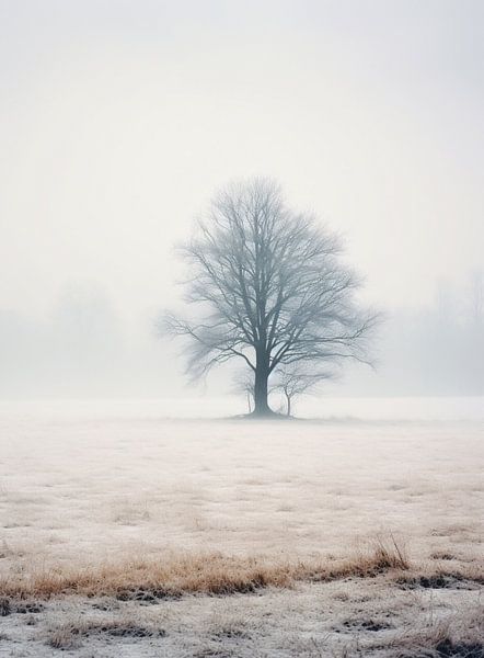 Winter in the fog by Thilo Wagner