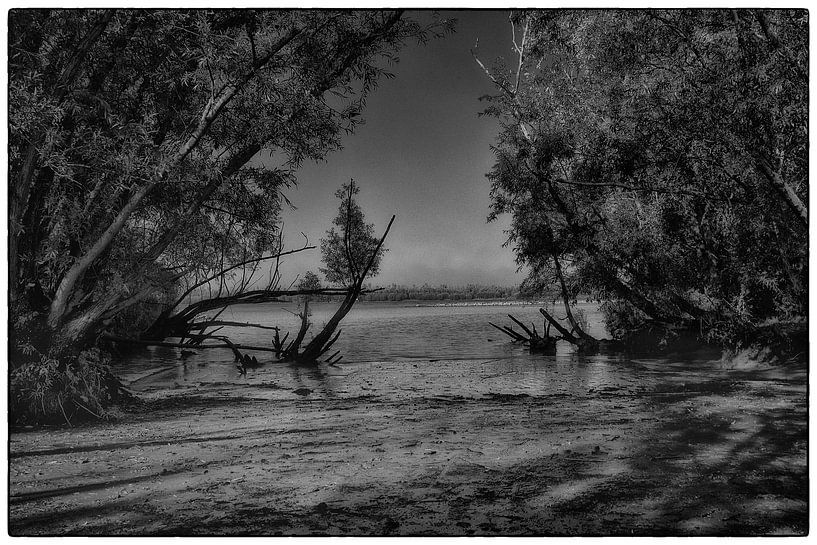 le long de la rivière par Jan Brand