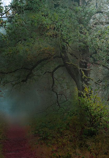 Wolfhezerheide Teil 148 von Tania Perneel