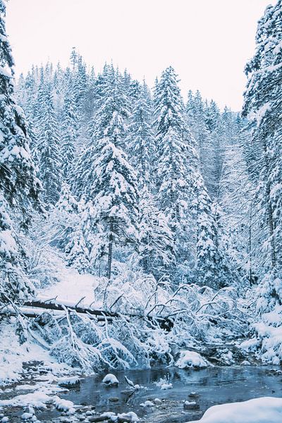 Paysage d'hiver bleu par Patrycja Polechonska