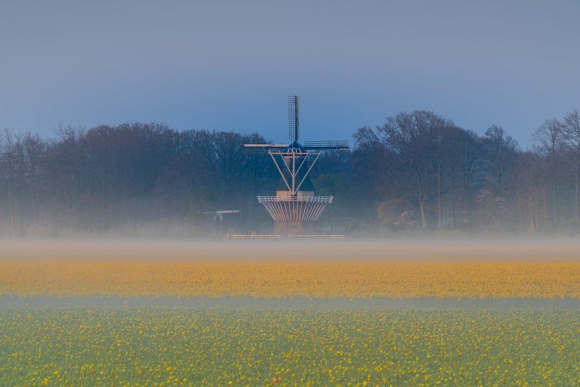 Lisse - Die Keukenhofmolen von Frank Smit Fotografie