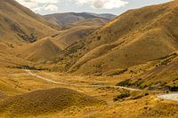 Ein Weg ins Ungewisse