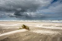 Plage Mer du Nord Ameland