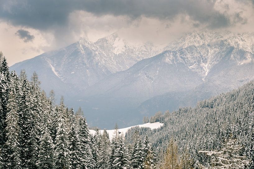 Alpine Vision von Martijn van der Nat