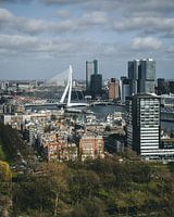 Vue du pont Erasmus et du Kop van Zuid
