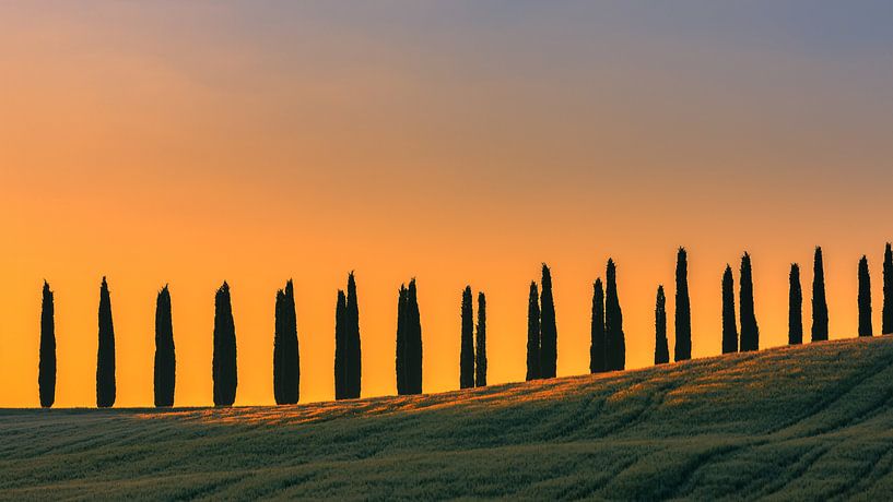 Sonnenaufgang Poggio Covili, Val d'Orcia, Toskana, Italien von Henk Meijer Photography