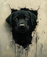 Les yeux de l'espoir