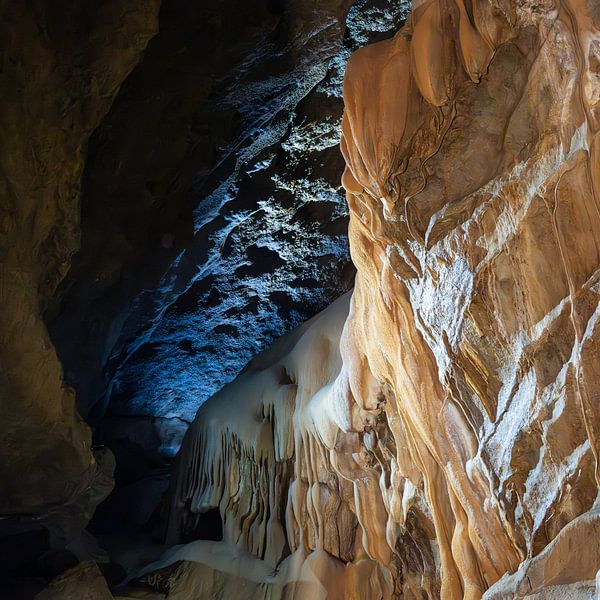 Versus von Out of the Box Photography