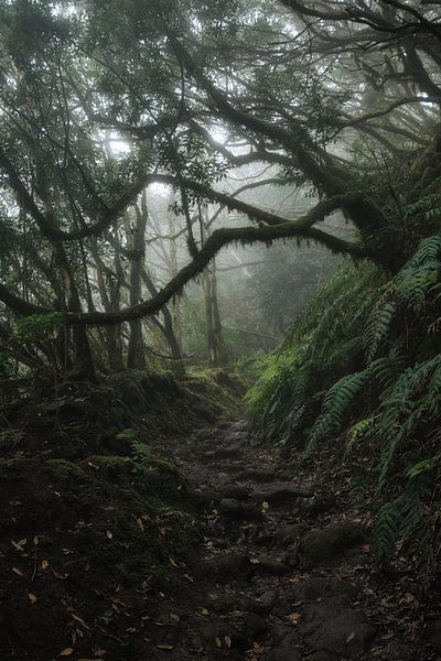 Tenerife von Marvin Schweer
