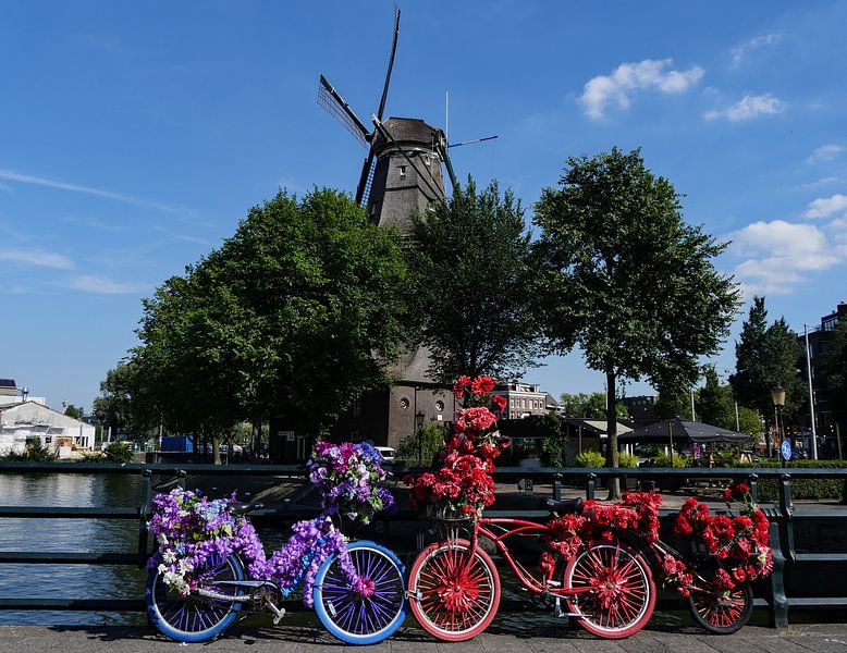 Blumenfahrräder von Odette Kleeblatt