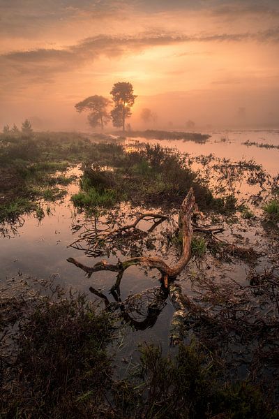 En ce matin magique.... par Moetwil en van Dijk - Fotografie