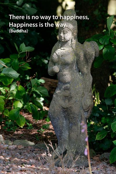 There is no way to happiness, by Cora Unk