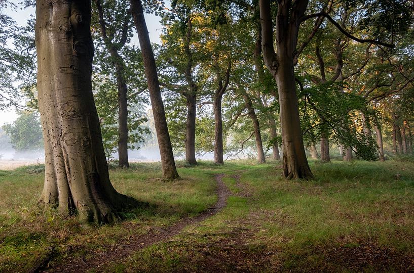 Vogelenzang Woestduin Estate by martin slagveld