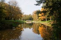 Weerspiegeling in Park