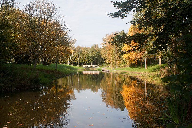 Weerspiegeling in Park von Cobie Reuvers
