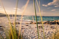 Bay of Fires in Tasmania, Australia