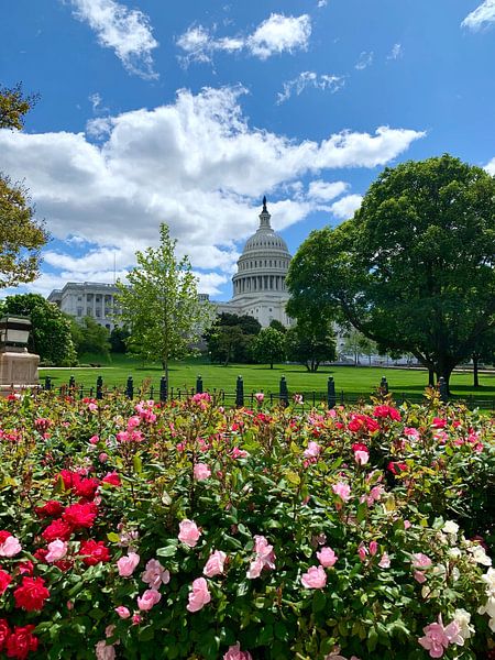 Washington DC par Hello Pompoyo