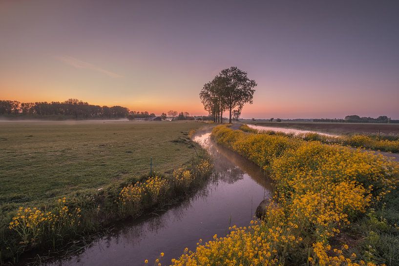 Dutch landscape by Moetwil en van Dijk - Fotografie