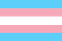 Transgender Pride Flag'