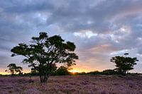 Lever de soleil à South Heath