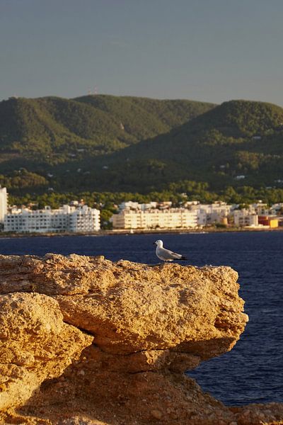 Mouette Ibiza par Annelies Riemens