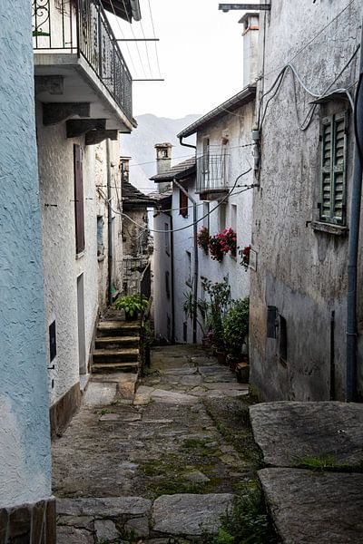 Malerische Straße Spoccia, Piemont, Italien von Imladris Images