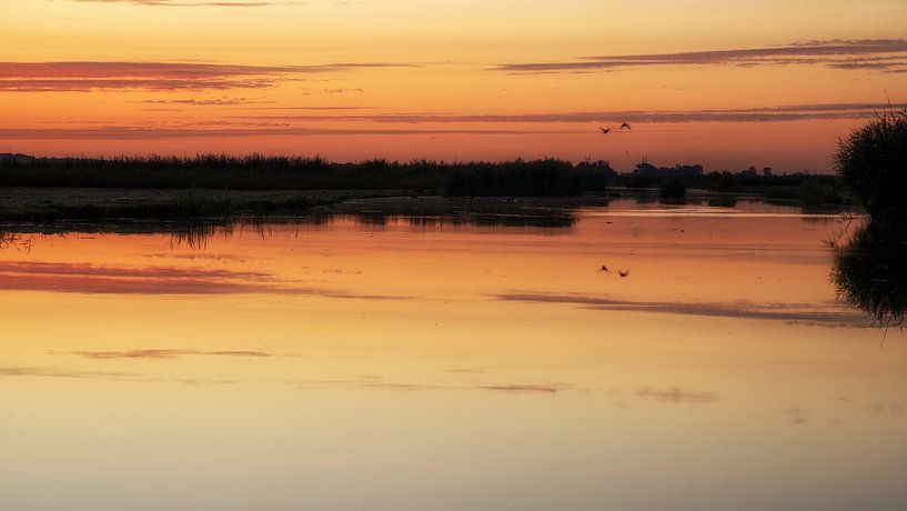 Der Beginn eines schönen Tages im Wormer und Jisperveld von Hans de Waay