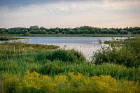 Zouweboezem nature reserve
