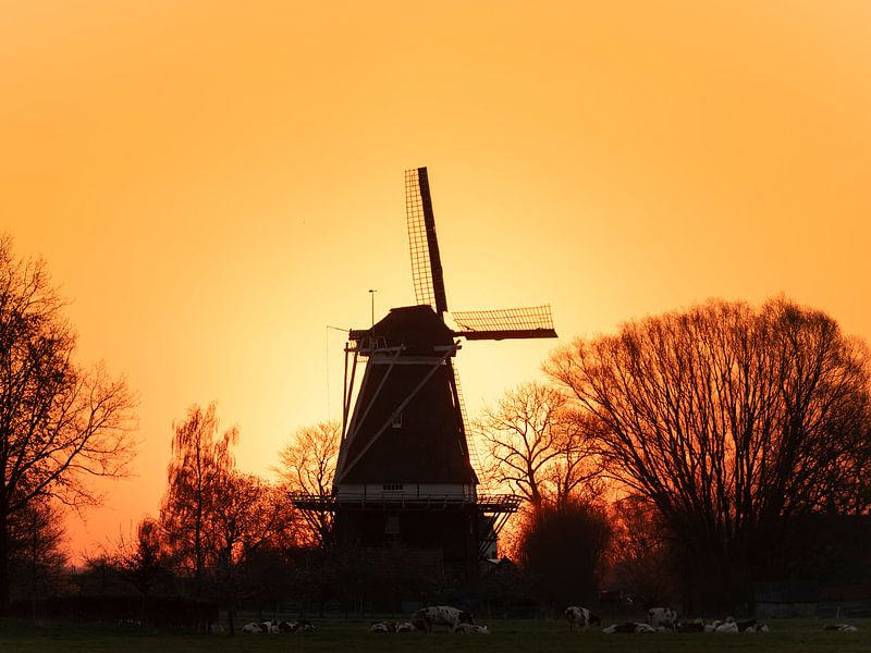 Mill &quot;De Vlijt&quot; by Erik Veldkamp