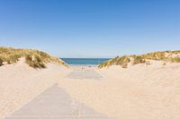 Der Weg zum Meer in Burgh-Haamstede