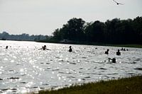 Sommerspaß Schwimmen