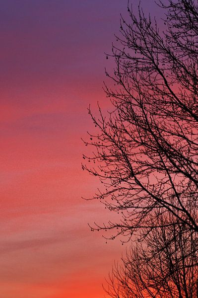 Le rouge du soir ! par Roy IJpelaar