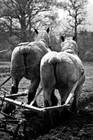 En maar schommelen en maar kijken naar de...