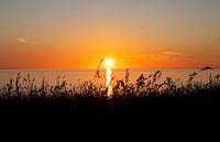 Sonnenuntergang vom Deich aus