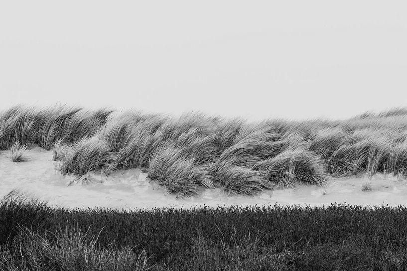 Schwarze und weiße Dünen im Westduinpark in Scheveningen von Anne Zwagers