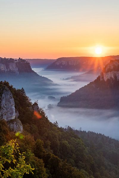 Lever de soleil dans le parc naturel du Danube supérieur par Werner Dieterich