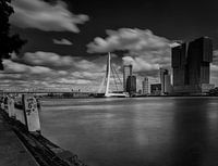 Rotterdam